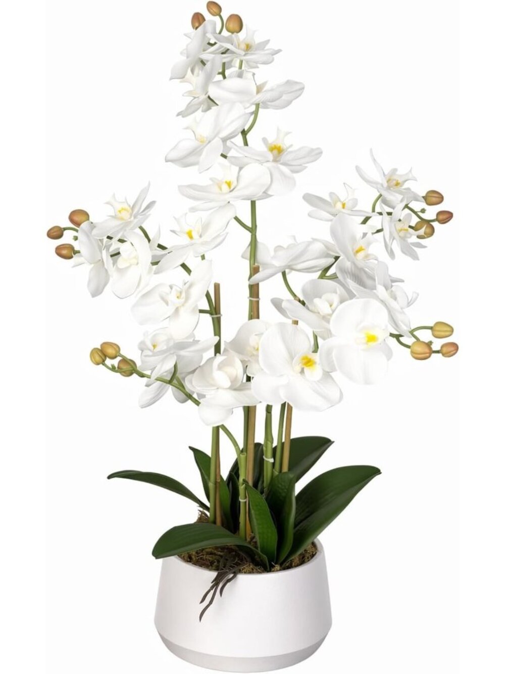 Real Touch White Orchid Plant - 1.5FT Potted Phalaenopsis Flower for Home Decor